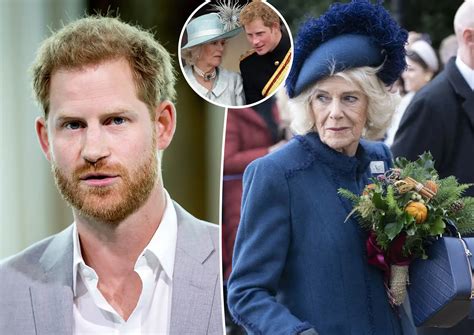 camilla leaks|Prince Harry accuses ‘dangerous’ Queen Consort Camilla of。